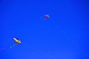 Kites in the Sky