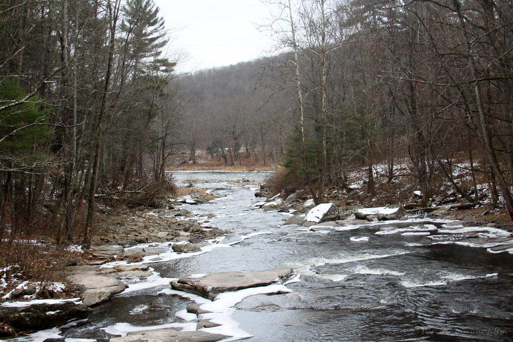 River in Winter