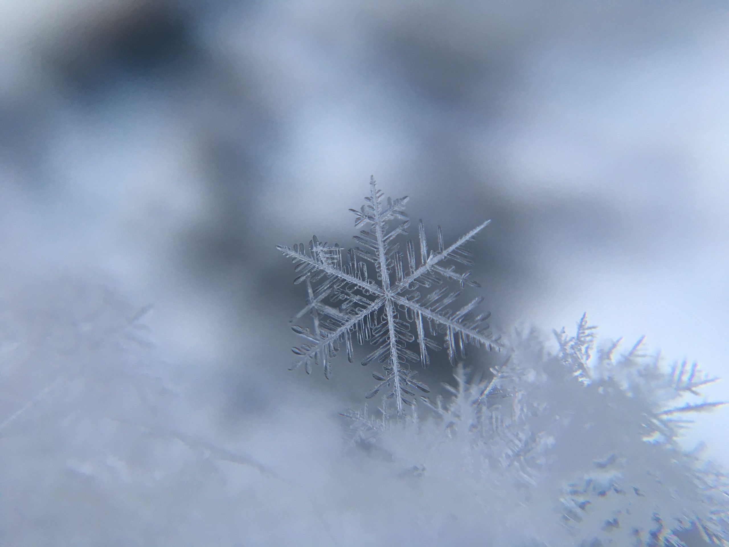 Snowflake up close