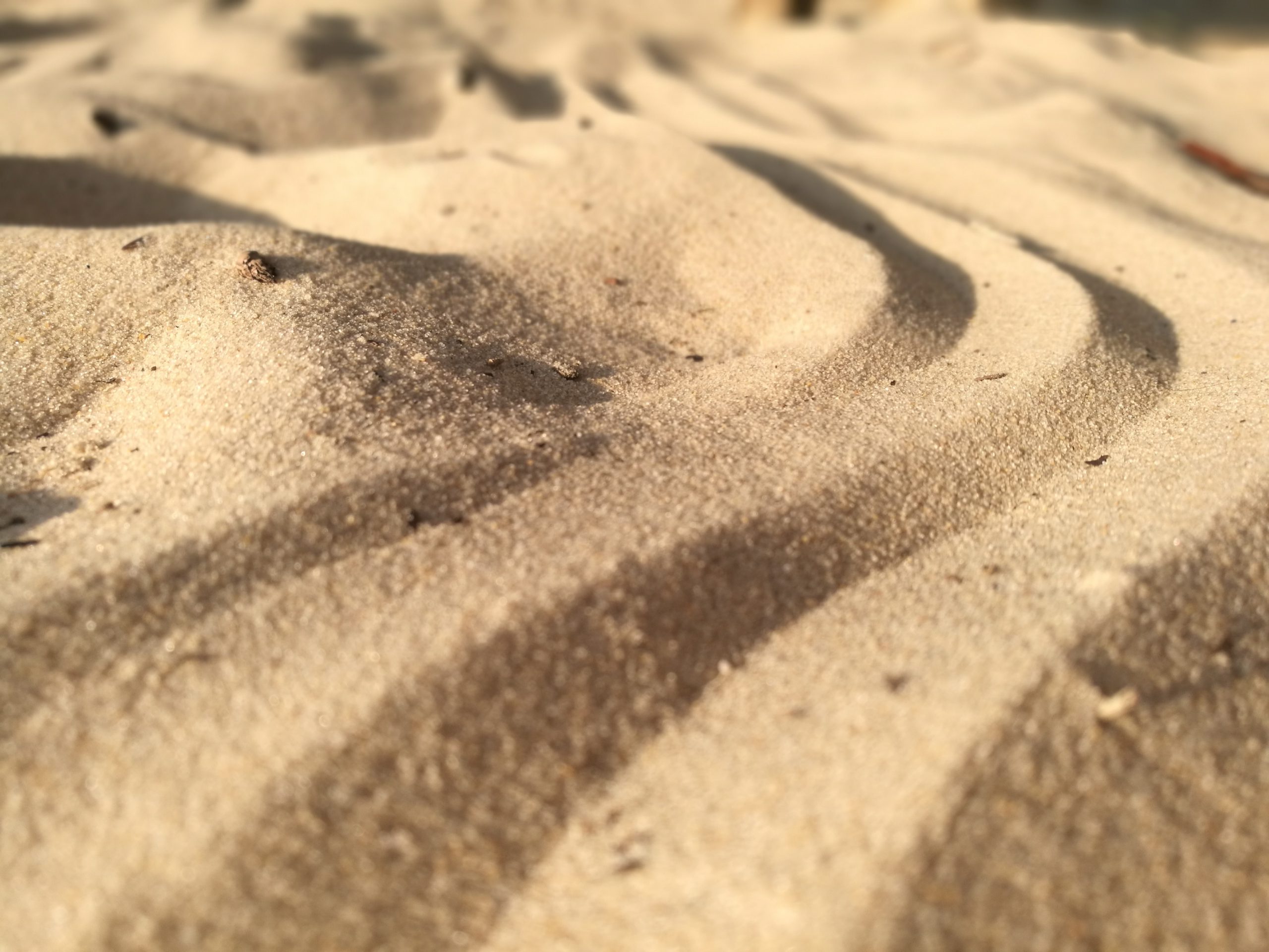 Dry sand with curvy vertical lines in it