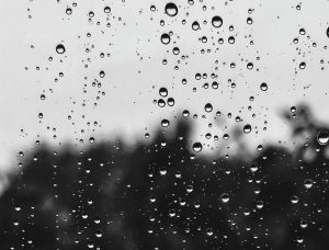 Rain drops on a window