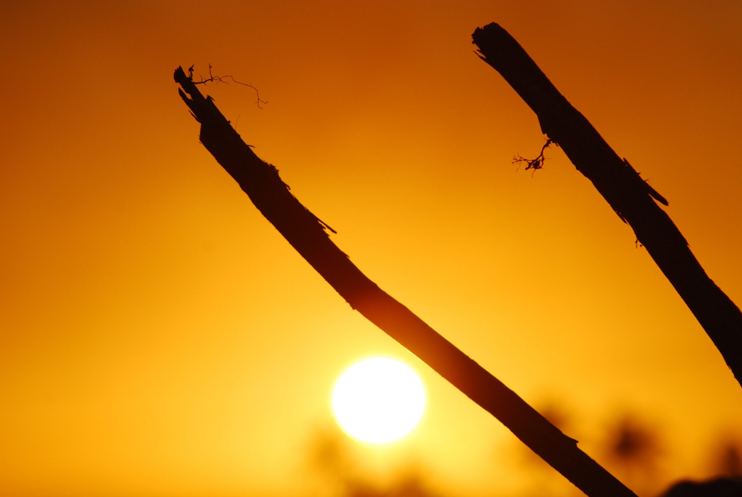 Warm sun paints sky golden
